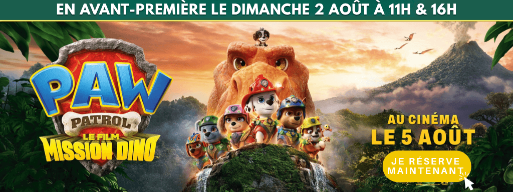 actualité avp pat patrouille