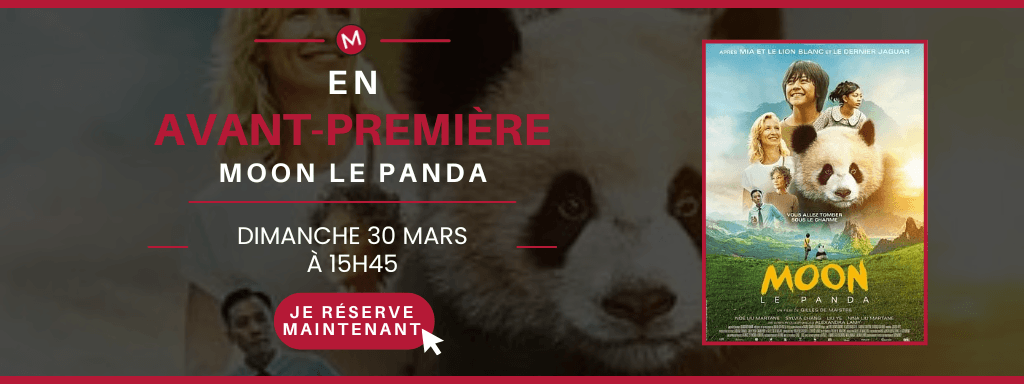 actualité AVP moon le panda