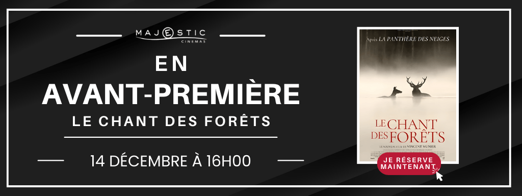 actualité avp le chant des forêts